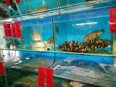 -海大大蒸汽海鲜餐厅·粤菜·特色小炒(欢乐颂店)