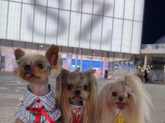 -深圳湾万象城(南山店)