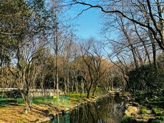 -上海共青森林公园