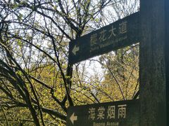 -南山植物园