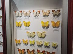 -吉林省自然博物馆