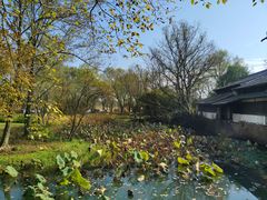 -西溪国家湿地公园