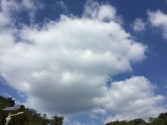 -浮槎山