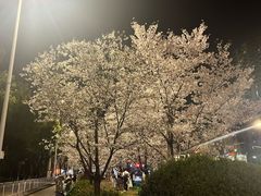 -华中科技大学光谷体育馆