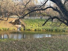 -黛秀湖公园