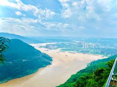 -铁山坪森林公园