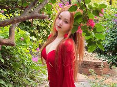 -西双版纳原始森林公园