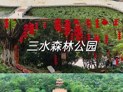 -三水森林公园