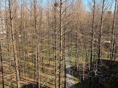 -上海交通大学闵行校区-包玉刚图书馆