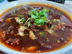 -新繁老號豌豆汤饭店·江湖菜(宝光寺店)