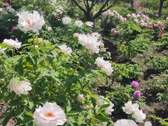 -江南大学(蠡湖校区)