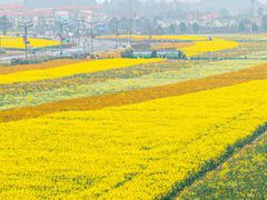 -中国天府农业博览园