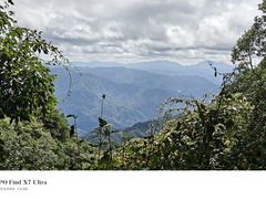 -王顺山国家森林公园