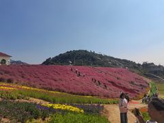 -沂蒙云瀑洞天景区