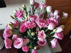 -三圣花乡旅游区