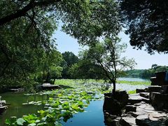 -承德避暑山庄景区