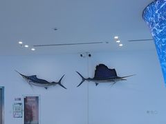 -深海中餐厅(国家海洋博物馆店)