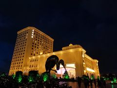 -上海白金汉爵大酒店(大零号湾国际会议中心店)
