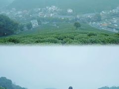 -十里琅珰