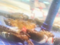 -海立阁海鲜江浙菜(漕河泾印象城店)