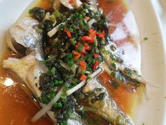 -阿英煲(凉城路店)