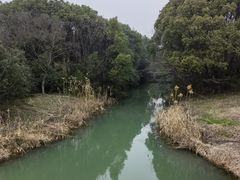 -贡湖湾湿地公园