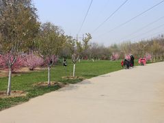 -秀水公园
