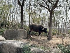 -茅山东方盐湖城景区