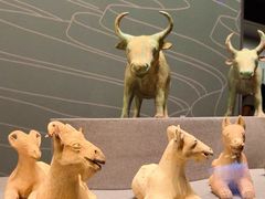 -广西壮族自治区博物馆