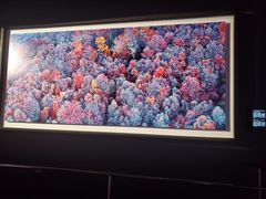 -罗红摄影艺术馆