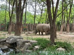 -北京野生动物园