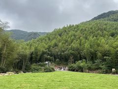 -莫干山风景区