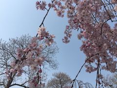 -西安青龙寺遗址景区