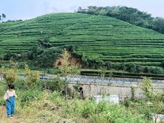 -四明山国家森林公园