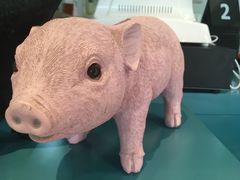 -WHEN PIGS FLY当猪飞