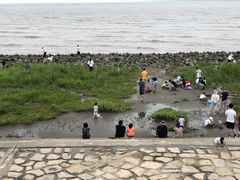 -南汇嘴观海公园