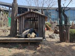 -大连森林动物园