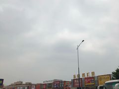 -东晓胜汇里(南洲北路店)