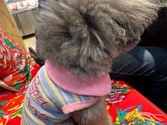 -老渔翁炖鱼坊(黄海西路东山店)