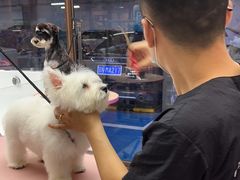 -FAELING PETS美天灵宠物(富力广场店)