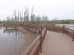 -张家湾公园