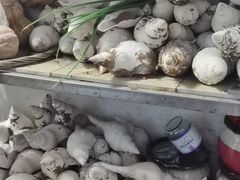 -郑厨私房菜