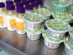 -德禄酸奶(莫家街店)