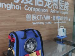 -爱侣宠医·鹦鹉专科·小型哺乳类·异宠专科(灵石路店)