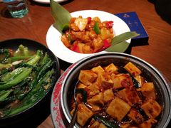 麻婆豆腐-渔见·精品川菜·老坛酸菜鱼(大朗店)