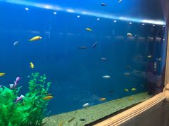-黄金海景大酒店-旋转餐厅
