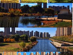 -长白岛森林公园