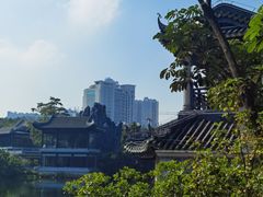 -荔湾湖公园