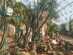 -北京植物园-展览温室