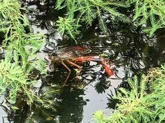 -白鹭湾湿地公园